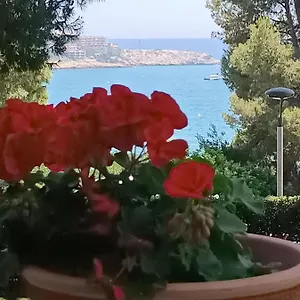 & Flowers Free Parking Apartamento